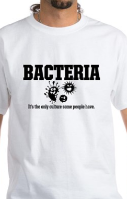 bacteria: it's the only culture some people have