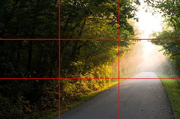 An example of the Rule of Thirds, Rule of Space, and Rule of Odds in practice. Image Credit: John R. Daily