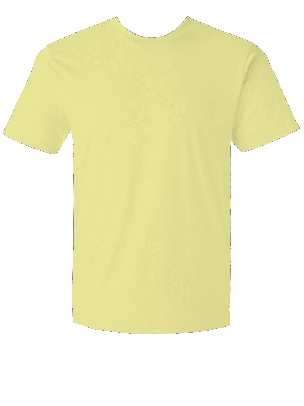 Next Level 3600 Cotton T-Shirt