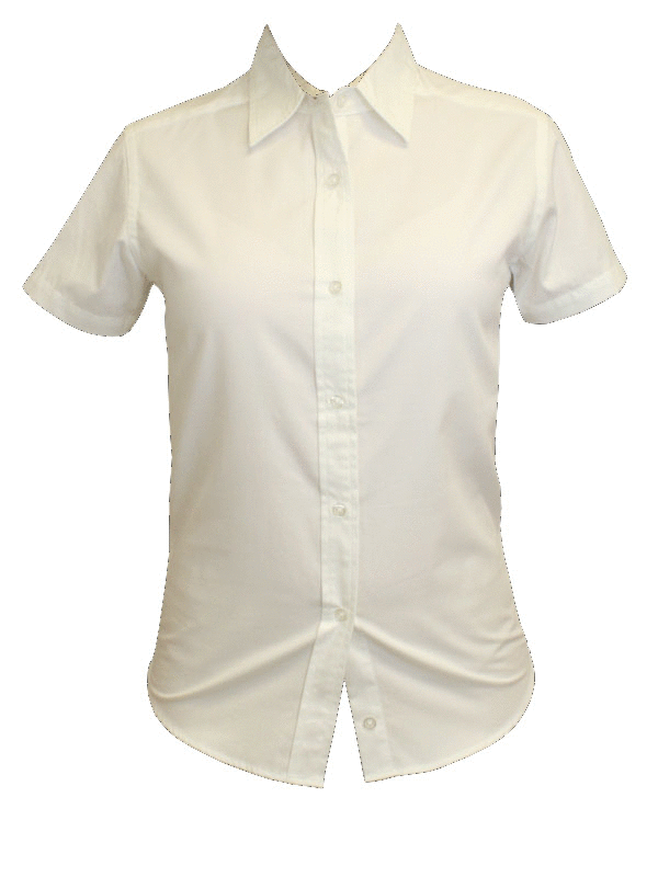 L508 Port Authority Ladies' Easy Care Shirt