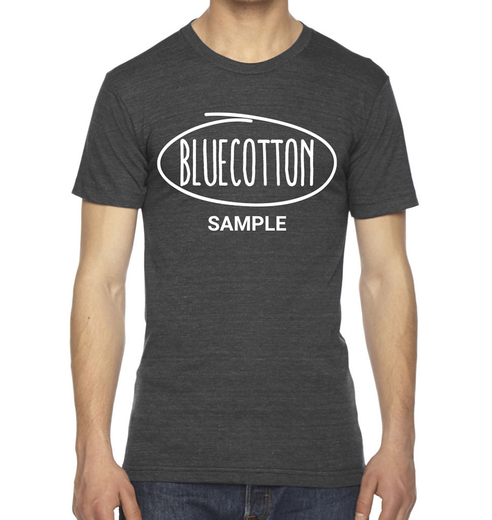 Sample image of TR401 American Apparel Tri-Blend Tee