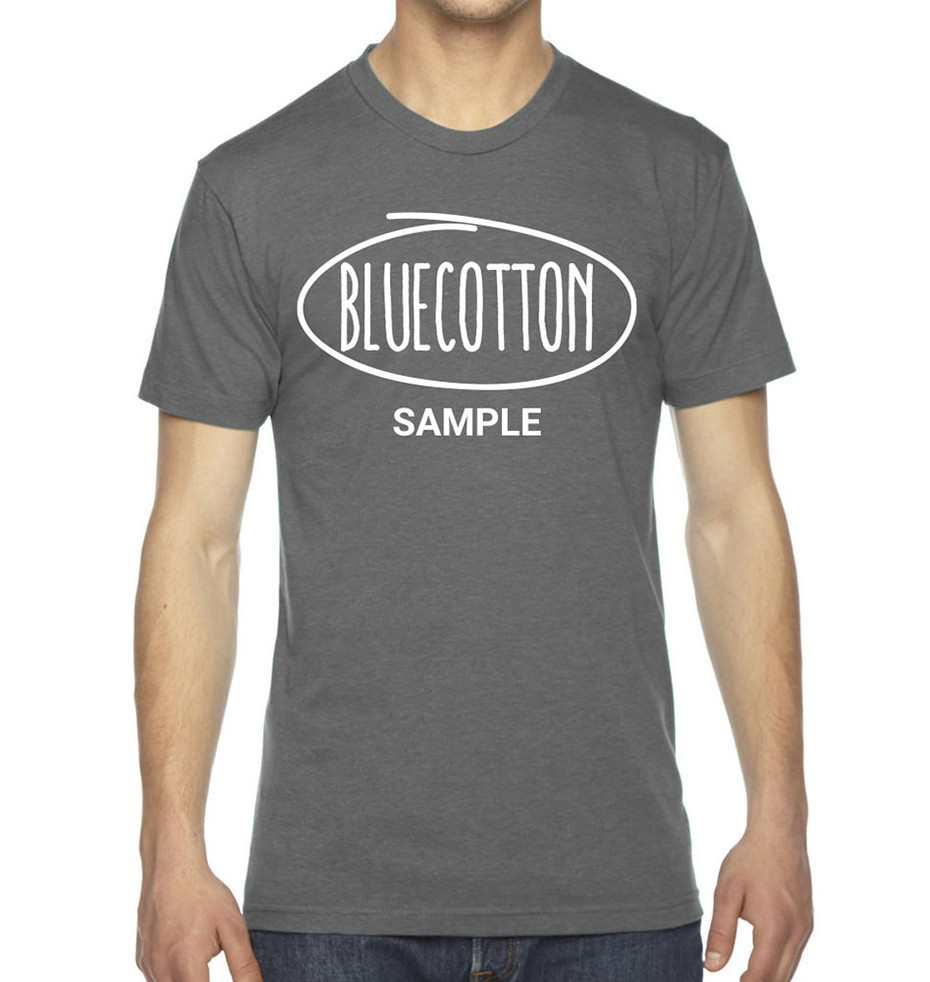 Image of TR401 American Apparel Tri-Blend Tee