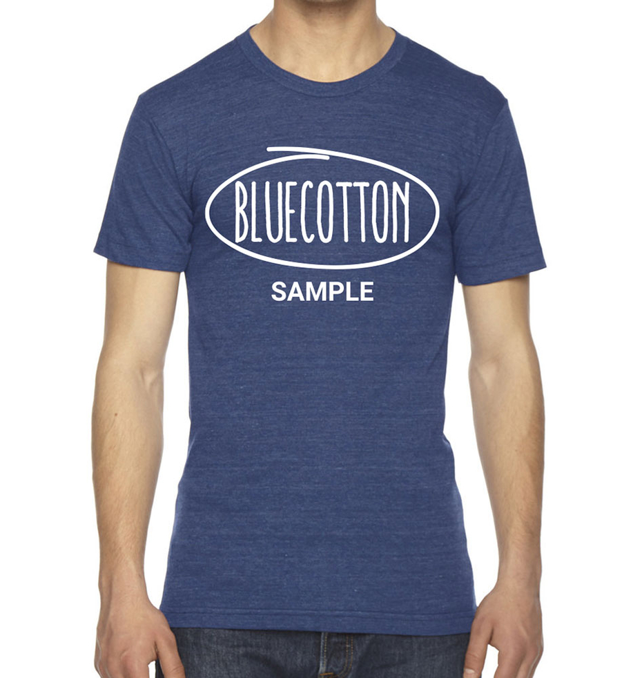 Image of TR401 American Apparel Tri-Blend Tee