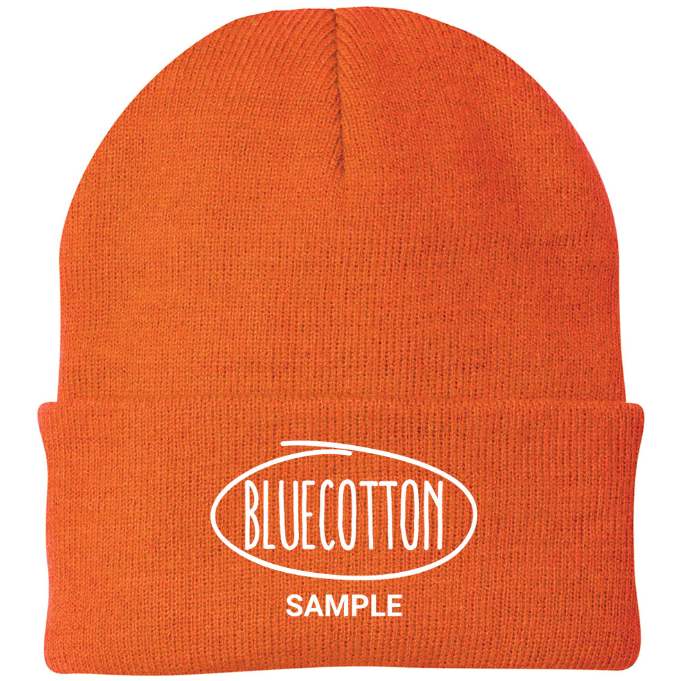 Image of CP90 Port & Company Knit Cap