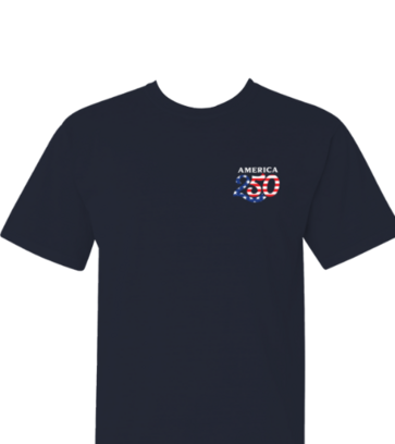 Semiquincentennial Logo design idea