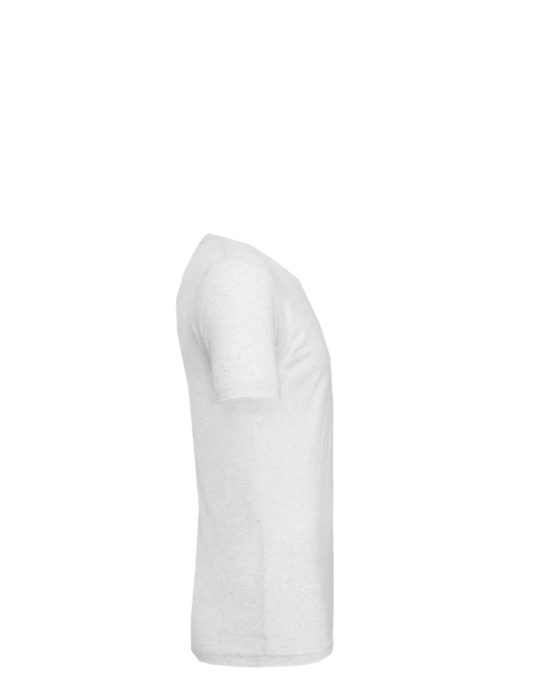 Image of a model wearing a 3415C Bella + Canvas Unisex Tri-Blend Short-Sleeve V-Neck T-Shirt