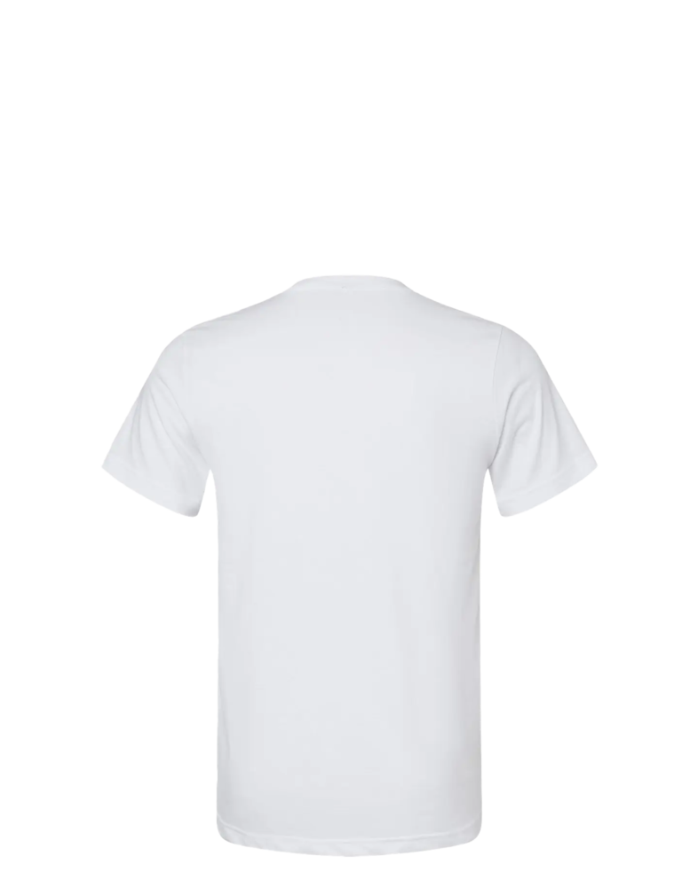 Image of a model wearing a 3005CVC Bella + Canvas Unisex Heather CVC V-Neck Tee