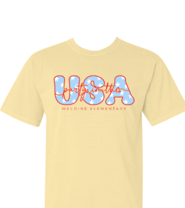 Party in the USA design idea