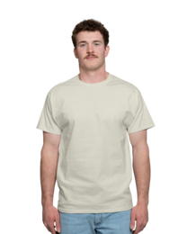 Image of a model wearing 5250 Hanes Authentic Tagless Tee