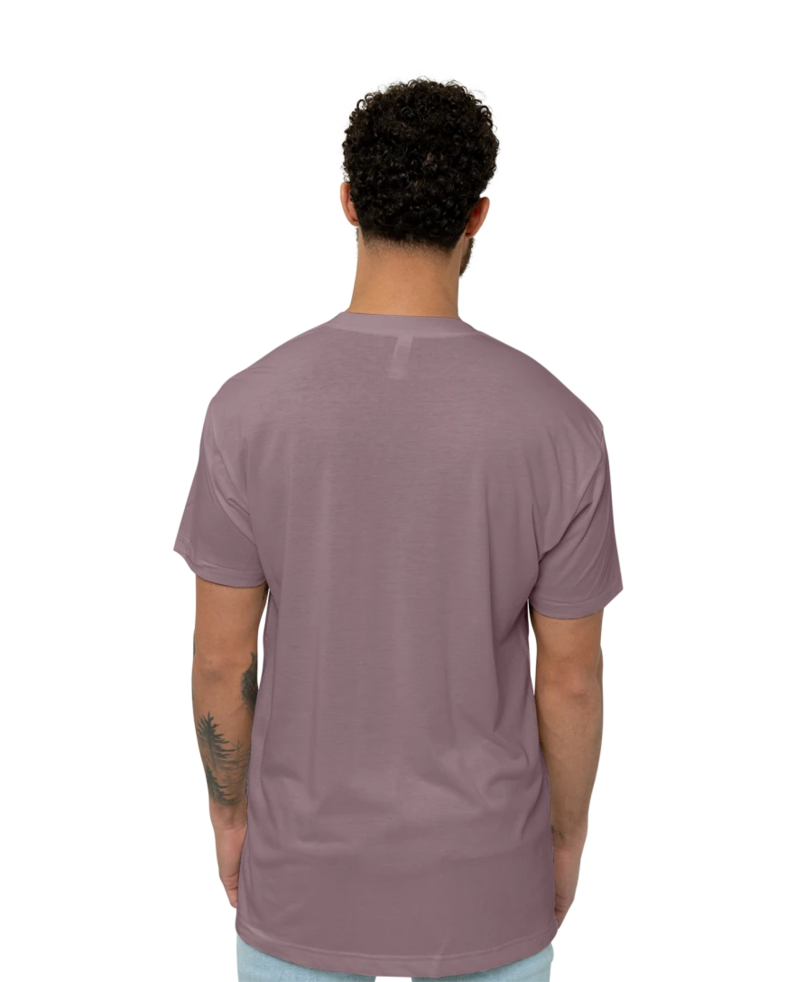 Image of a model wearing a TR401 American Apparel Tri-Blend Tee