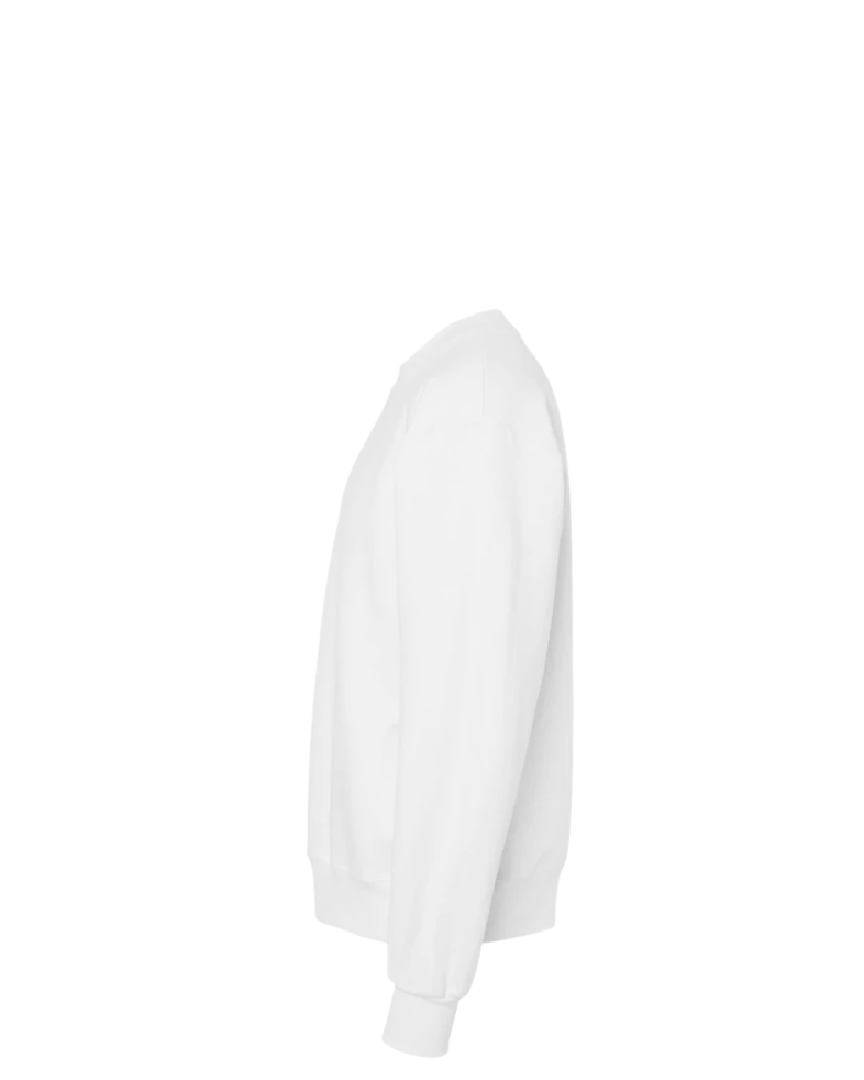 Image of a model wearing a F260 Hanes Ultimate Cotton Crewneck