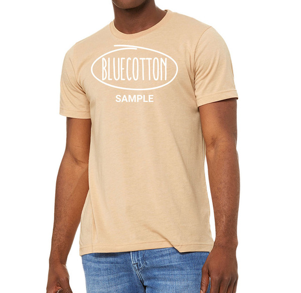 3001CVC Bella + Canvas Unisex CVC Jersey Tee
