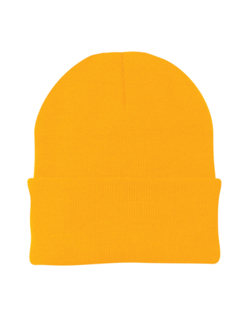 Model wearing a CP90 Port & Company Knit Cap