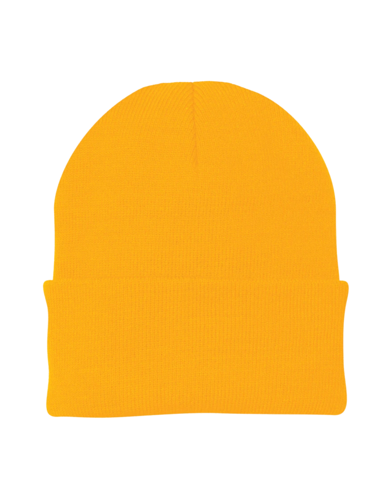 Image of a model wearing a CP90 Port & Company Knit Cap