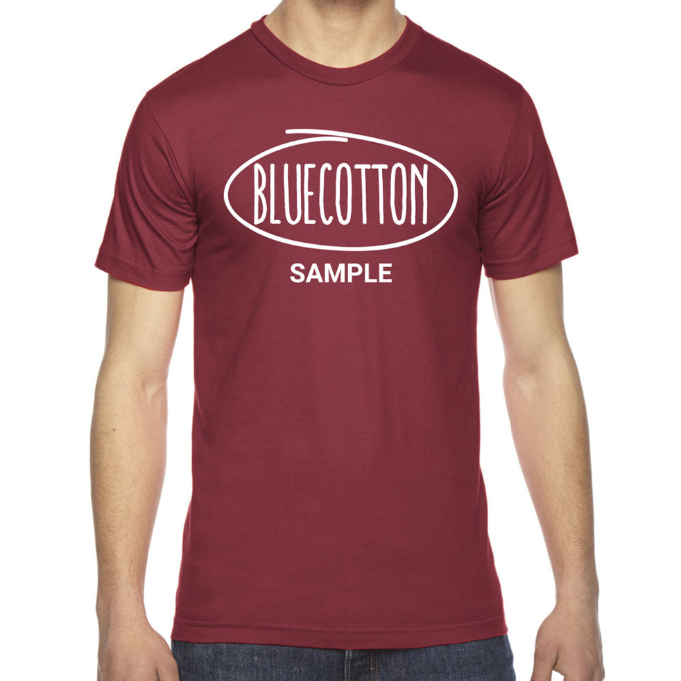 Image of 2001 American Apparel Fine Jersey Tee