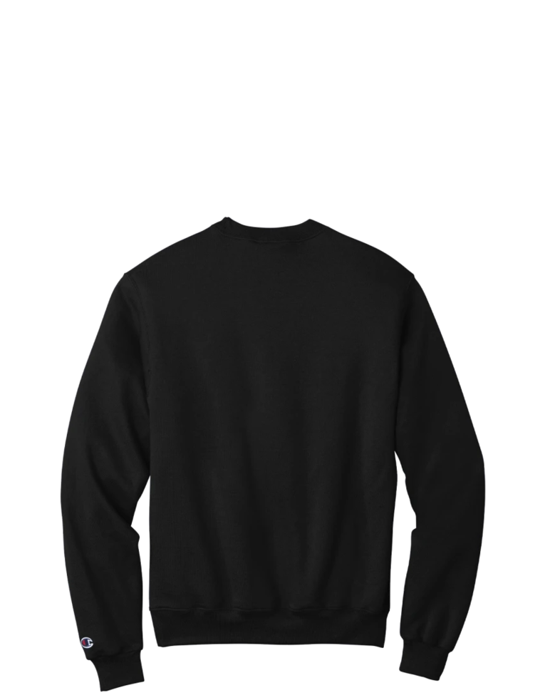 Image of a model wearing a S6000 Champion Eco Fleece Crewneck Sweatshirt