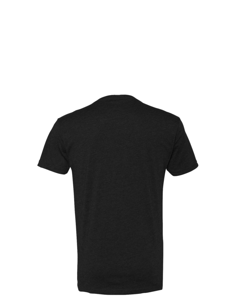 Image of a model wearing a Next Level 6240 Fitted CVC V-Neck T-Shirt