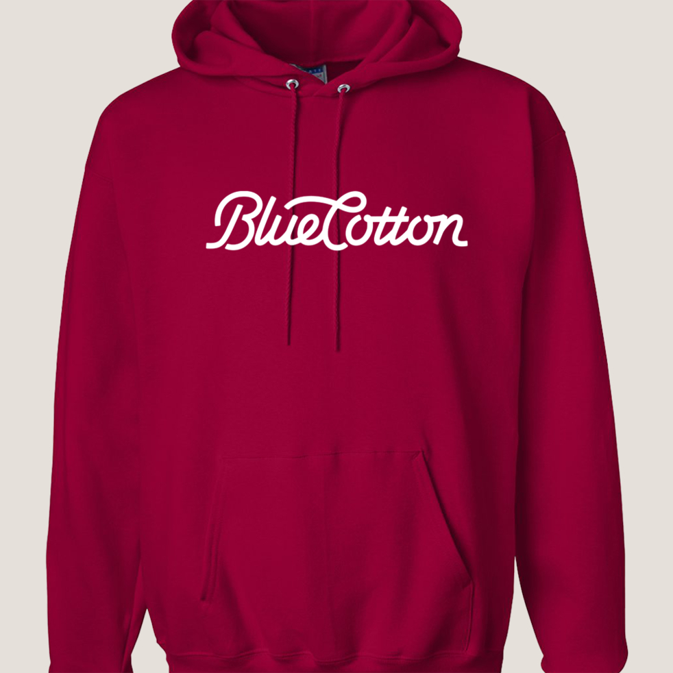 Image of F170 Hanes Pullover Hooded Sweatshirt