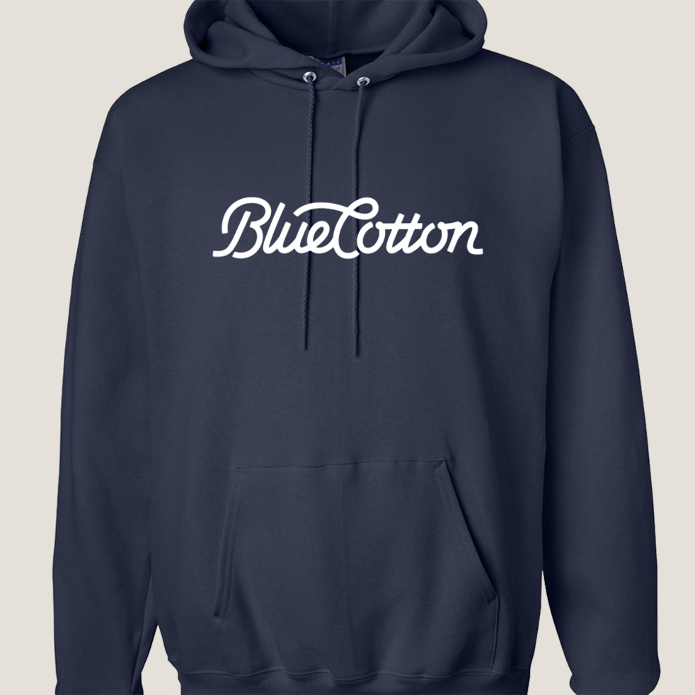 Image of F170 Hanes Pullover Hooded Sweatshirt