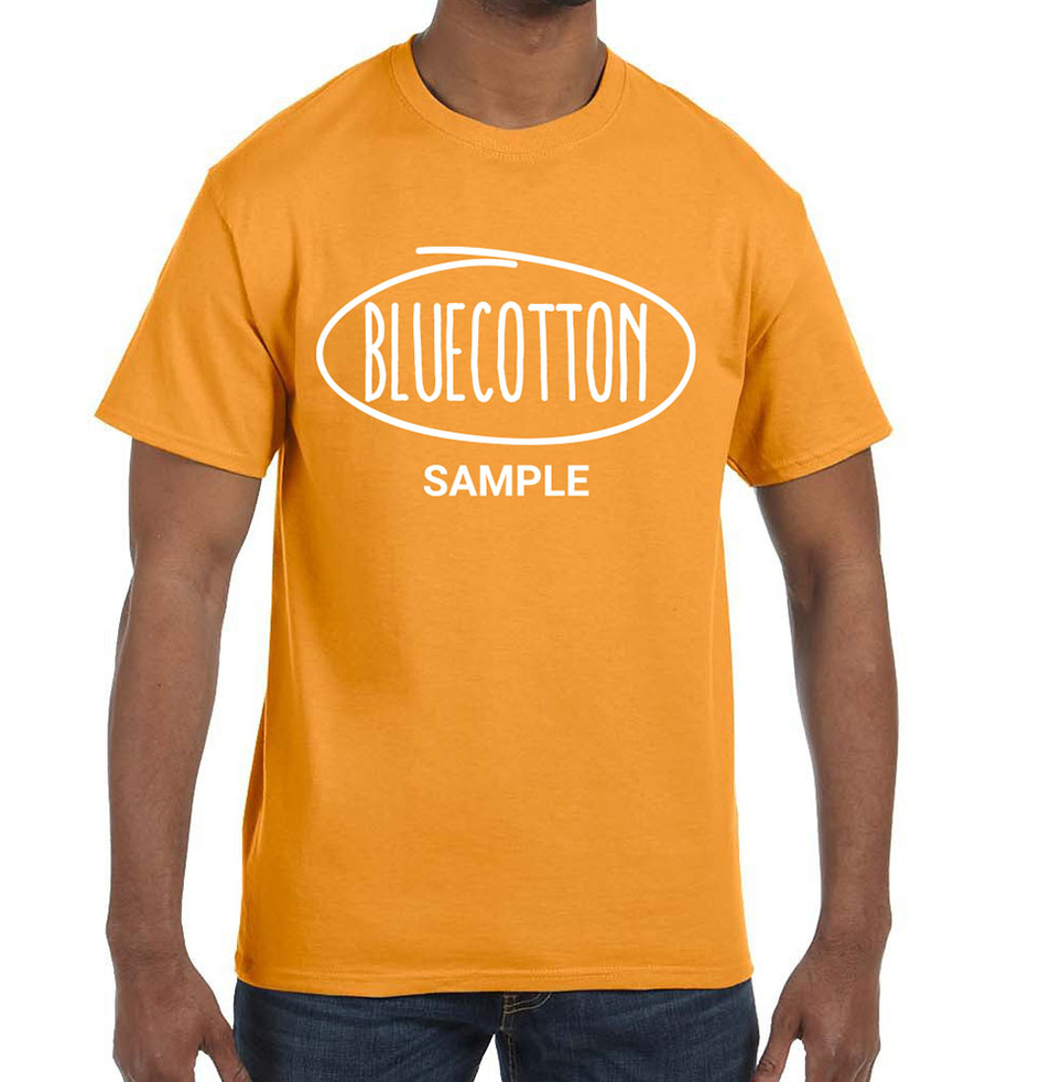 Image of 5250 Hanes Authentic Tee