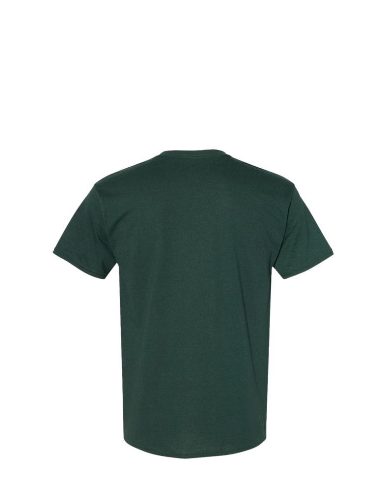 Image of a model wearing a 5170 Hanes ComfortBlend Tee