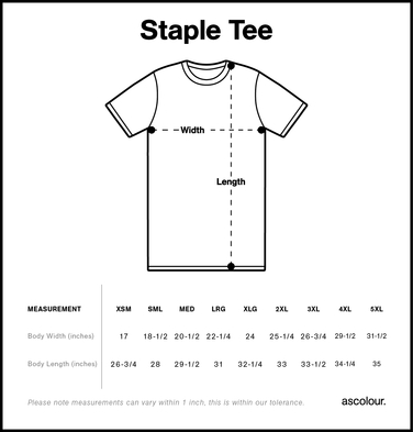Size chart for a 5001 AS Colour Staple Tee