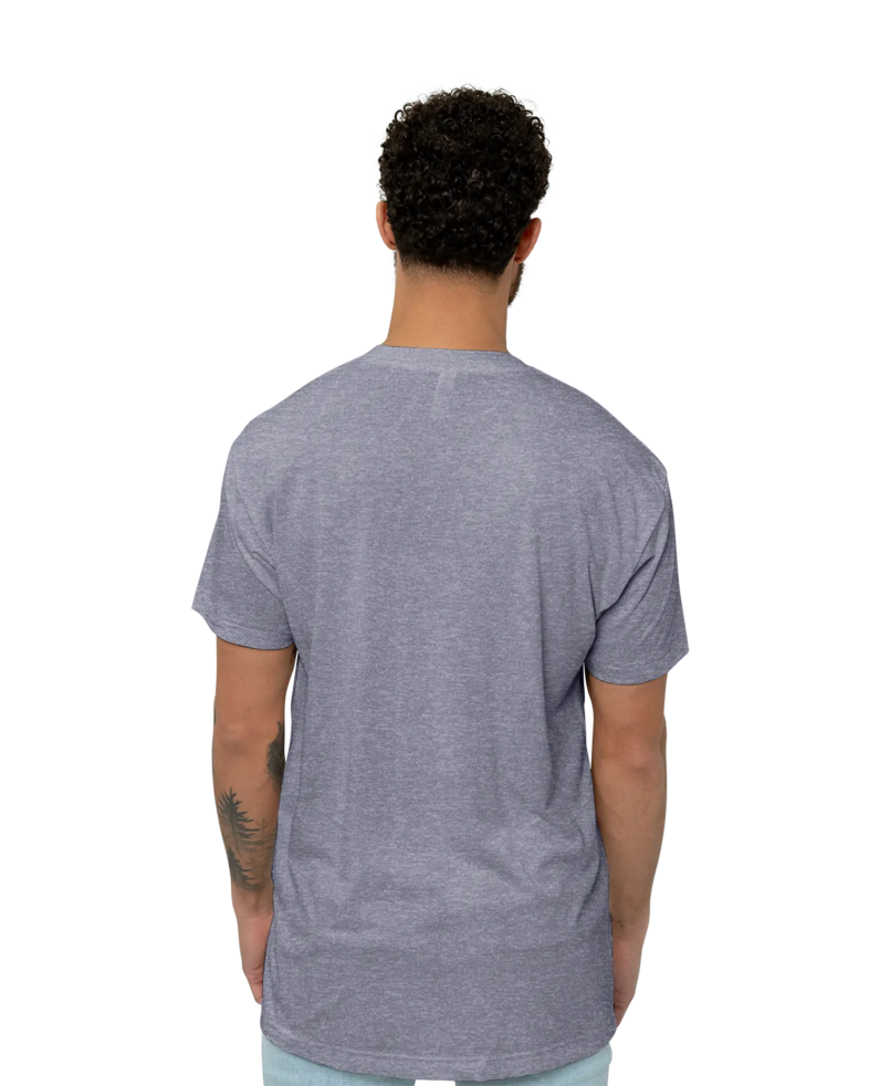 Image of a model wearing a TR401 American Apparel Tri-Blend Tee