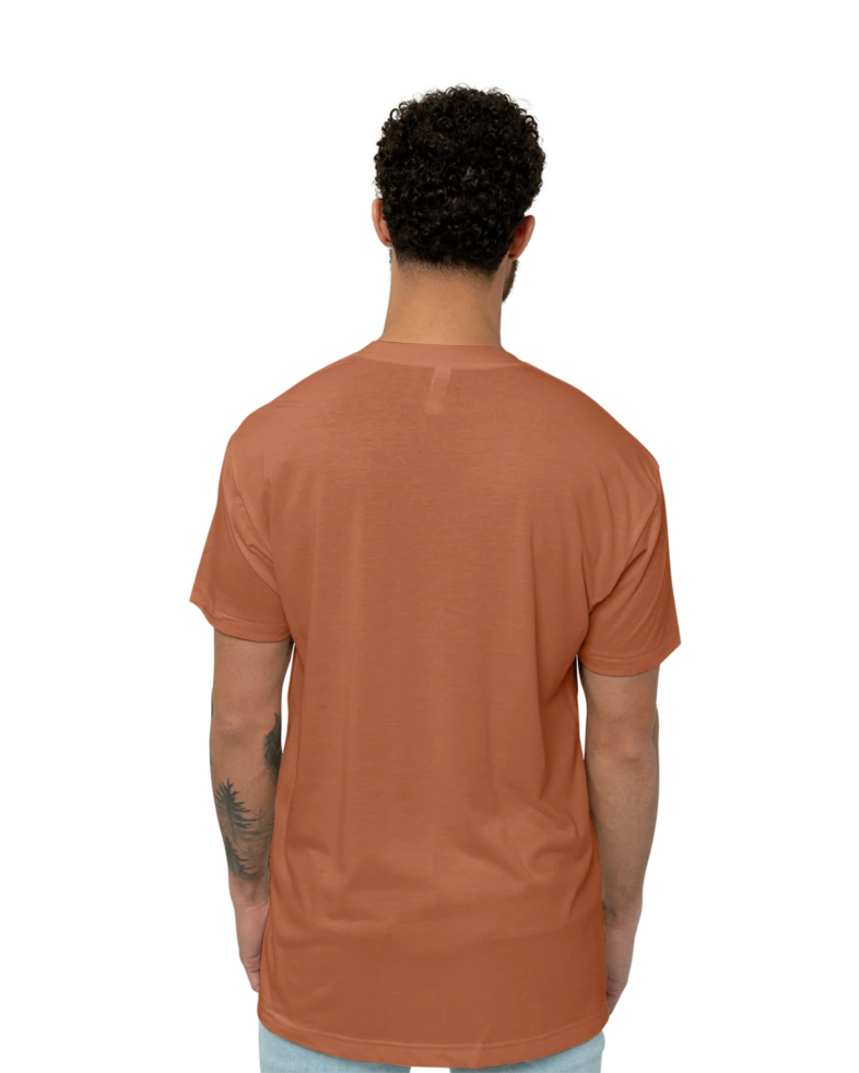 Image of a model wearing a TR401 American Apparel Tri-Blend Tee