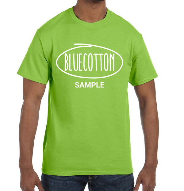 5250 Hanes Authentic Tagless Tee