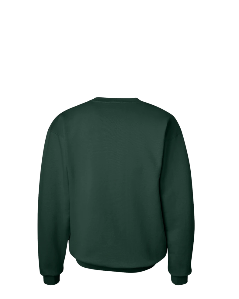 Image of a model wearing a F260 Hanes Ultimate Cotton Crewneck
