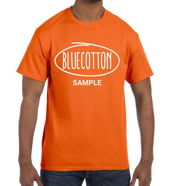 5250 Hanes Authentic Tagless Tee