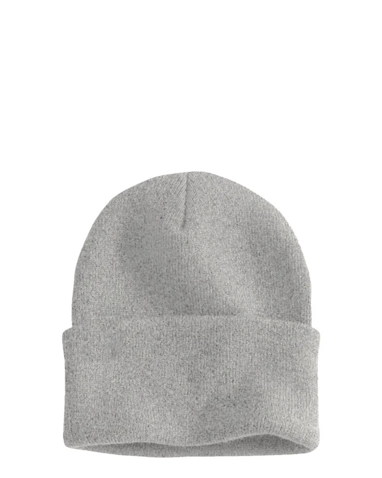 Image of a model wearing a CT104597 Carhartt Watch Cap 2.0