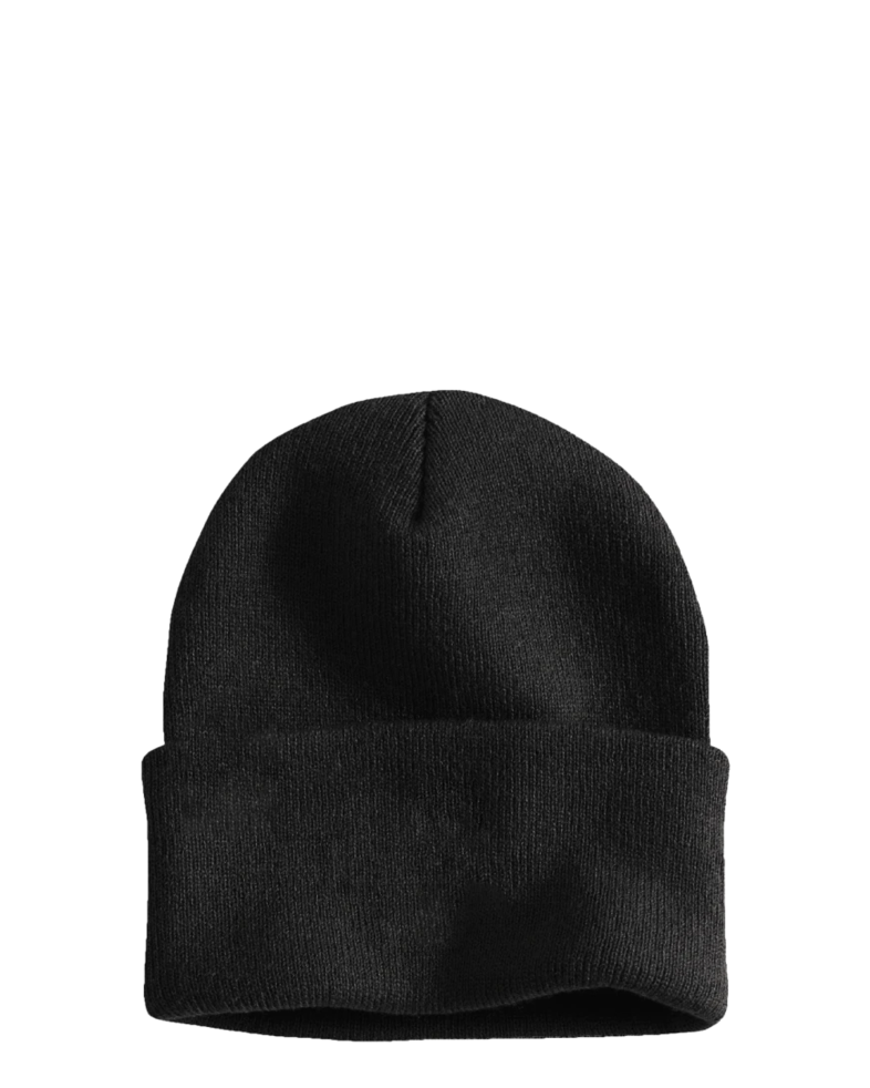 Image of a model wearing a CT104597 Carhartt Watch Cap 2.0