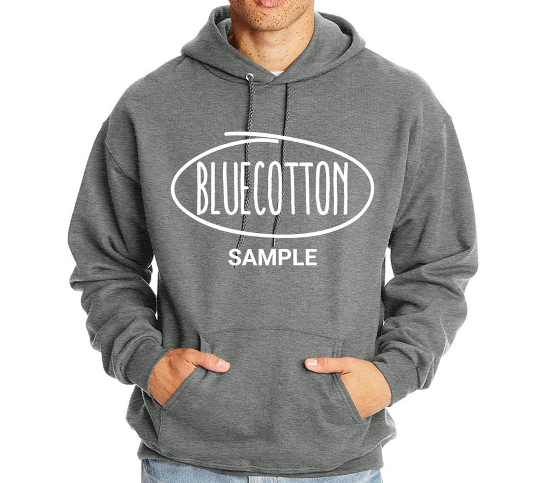 Image of F170 Hanes Pullover Hooded Sweatshirt