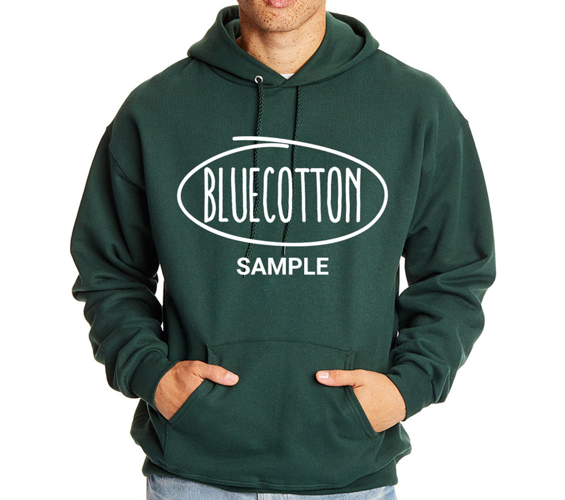 Image of F170 Hanes Pullover Hooded Sweatshirt