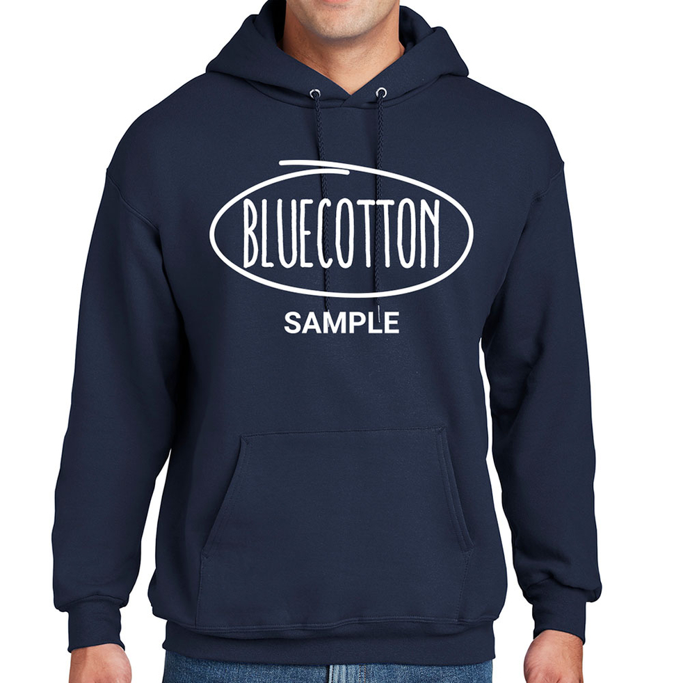 Image of F170 Hanes Pullover Hooded Sweatshirt