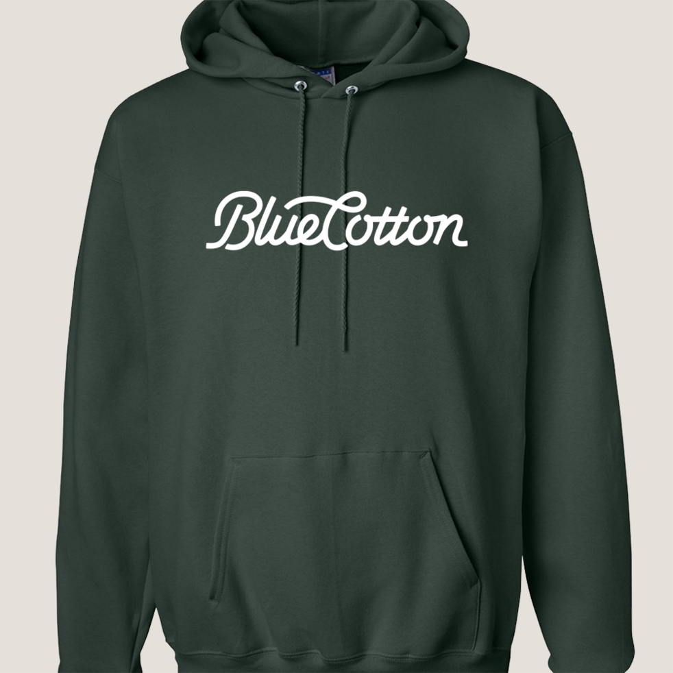 Image of F170 Hanes Pullover Hooded Sweatshirt