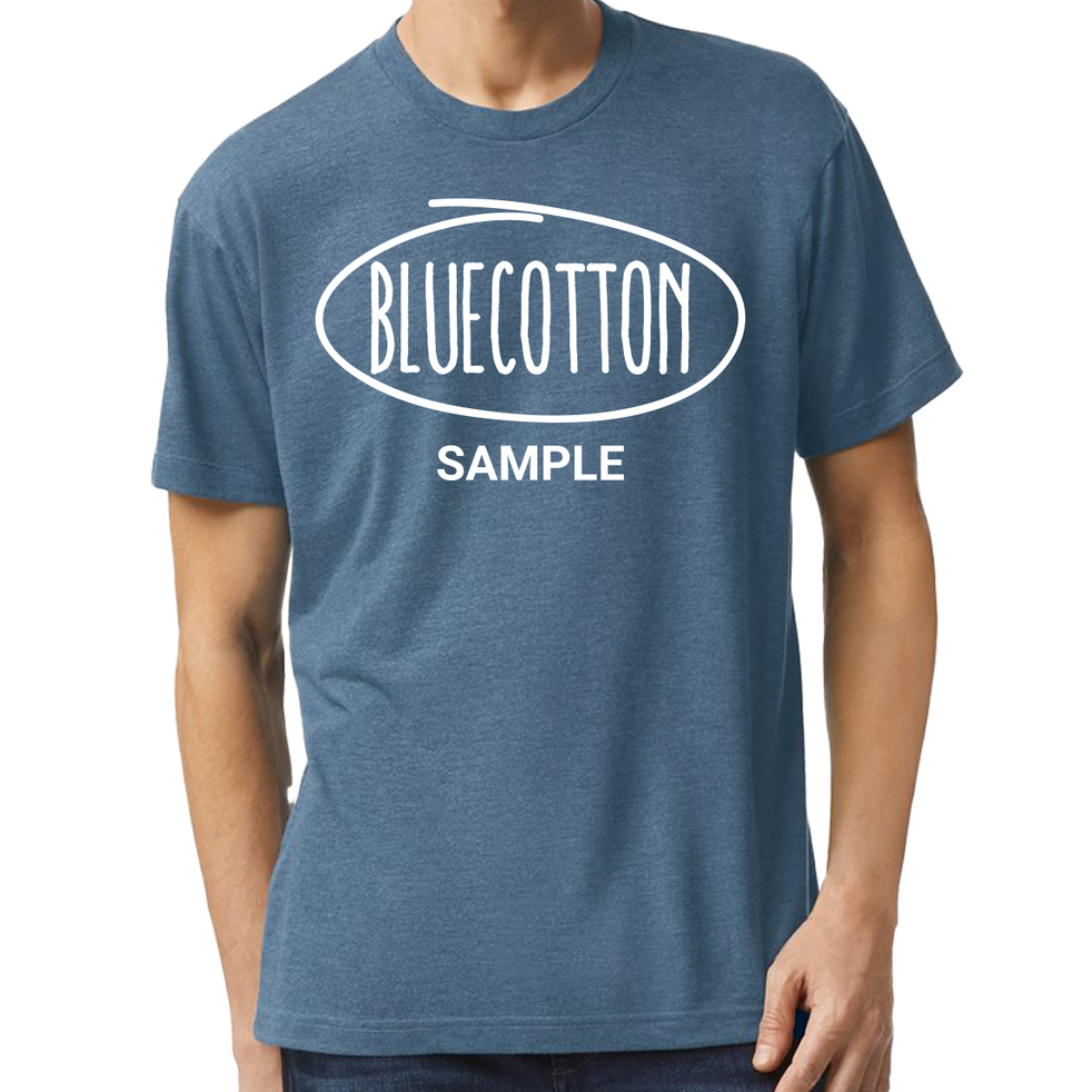 Image of TR401 American Apparel Tri-Blend Tee