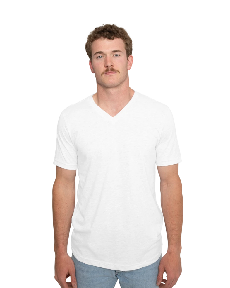 Image of a model wearing a 3005 Bella + Canvas Unisex Jersey Short-Sleeve V-Neck T-Shirt