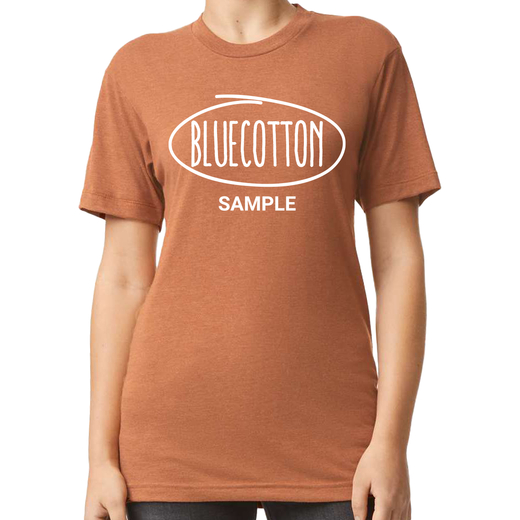 Sample image of TR401 American Apparel Tri-Blend Tee