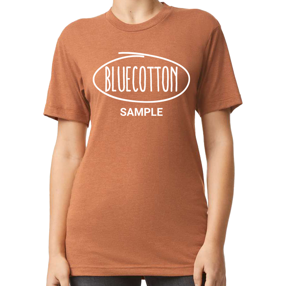 Image of TR401 American Apparel Tri-Blend Tee