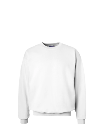 Model wearing a F260 Hanes Ultimate Cotton Crewneck