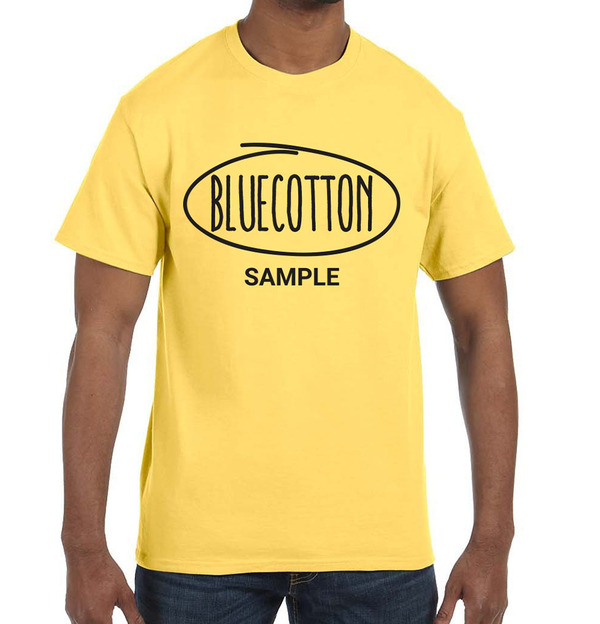 5250 Hanes Authentic Tagless Tee
