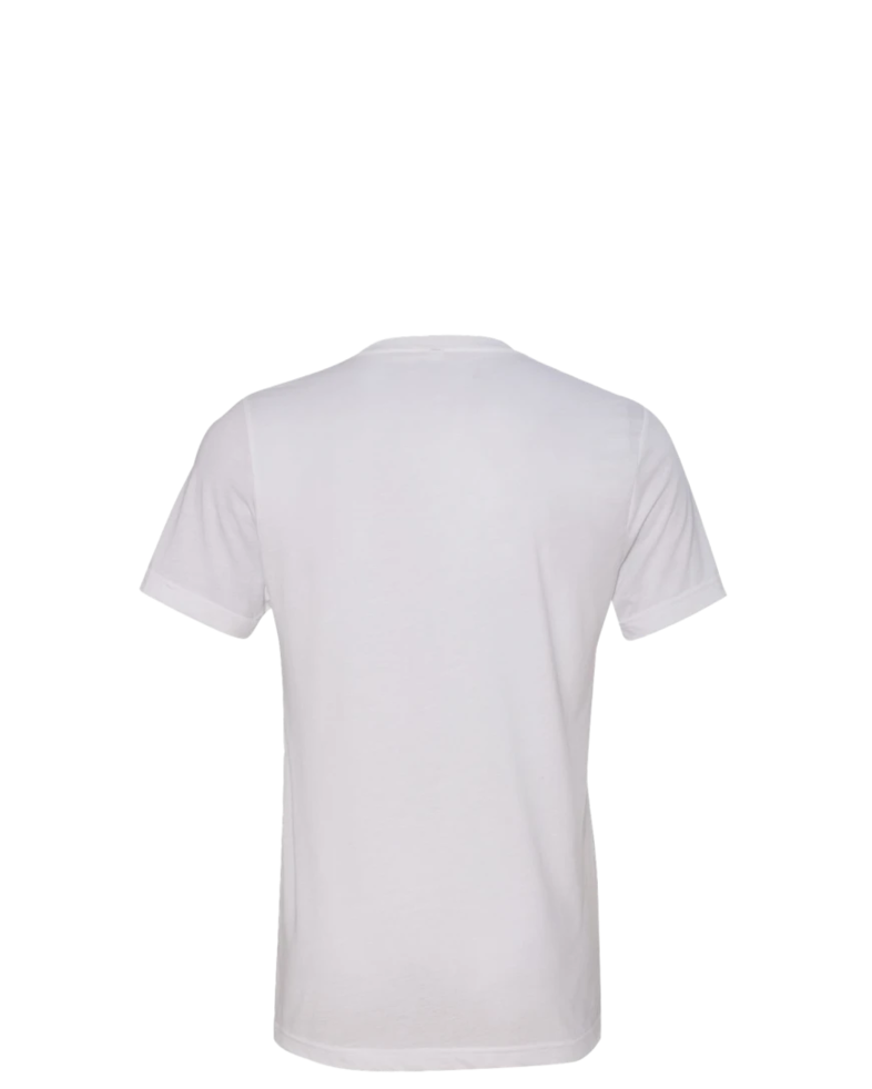 Image of a model wearing a 3415C Bella + Canvas Unisex Tri-Blend Short-Sleeve V-Neck T-Shirt