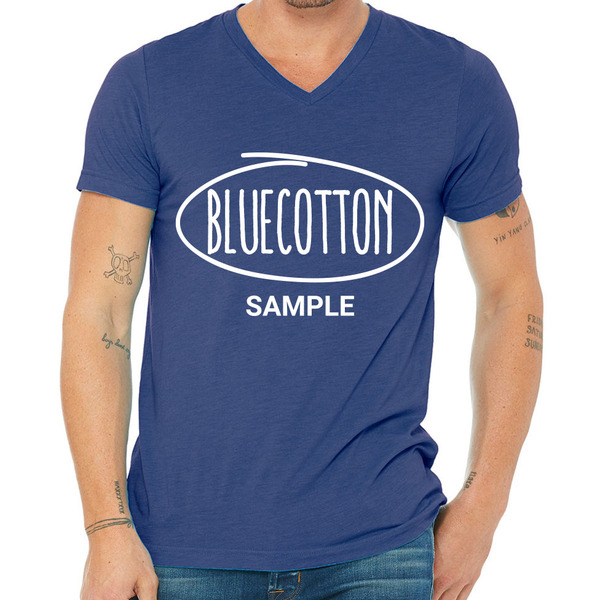 3415C Bella + Canvas Unisex Tri-Blend Short-Sleeve V-Neck T-Shirt