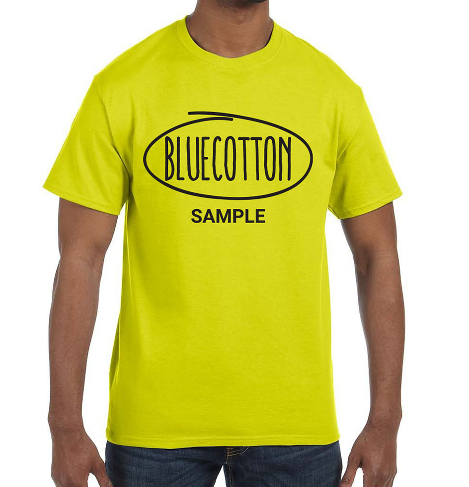 Image of 5250 Hanes Authentic Tee