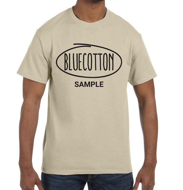 5250 Hanes Authentic Tagless Tee
