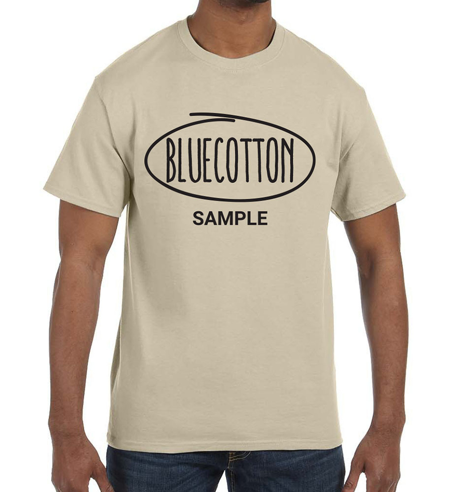 Image of 5250 Hanes Authentic Tee