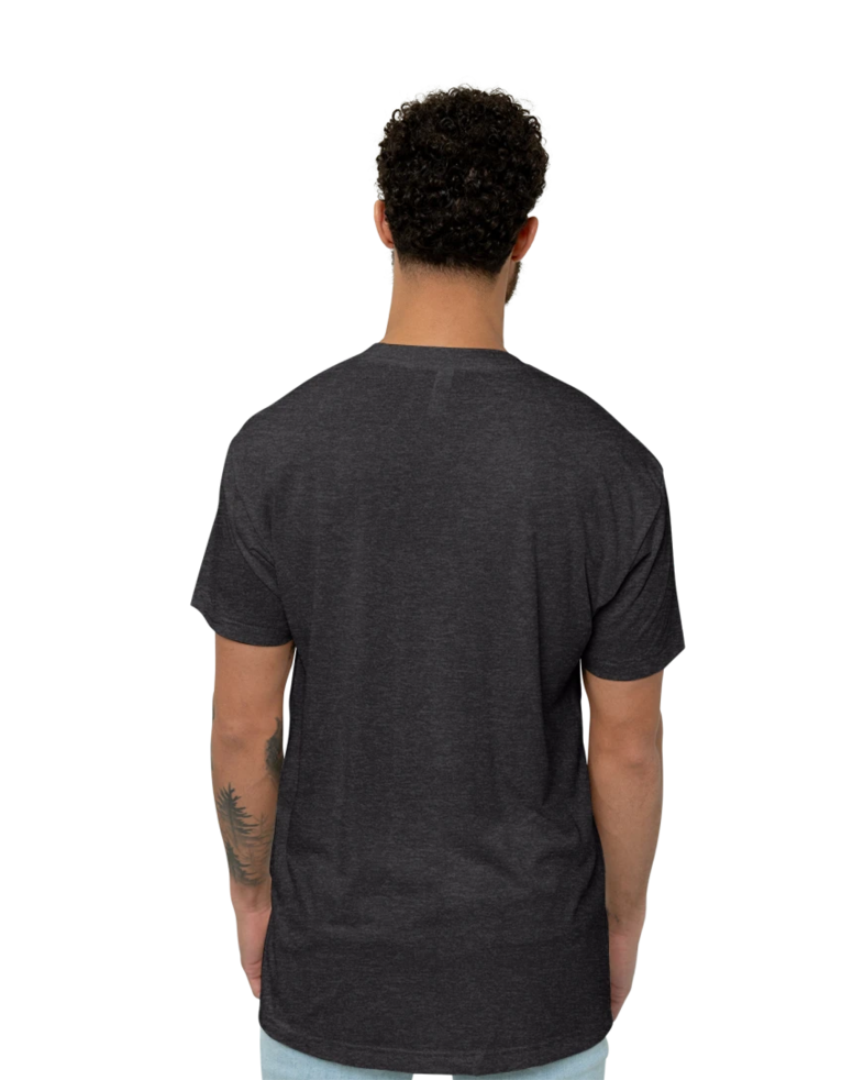Image of a model wearing a TR401 American Apparel Tri-Blend Tee