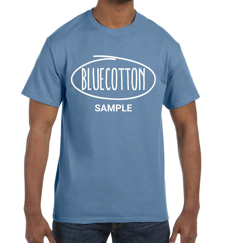 Image of 5250 Hanes Authentic Tee